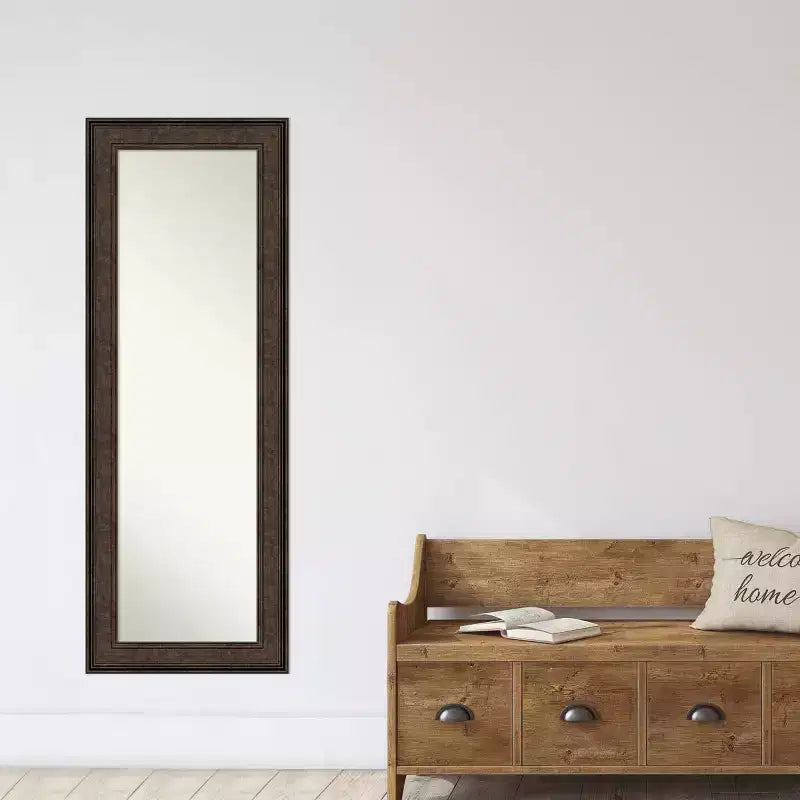 20" x 54" Ridge Bronze Full Length Mirror on The Door - Amanti Art