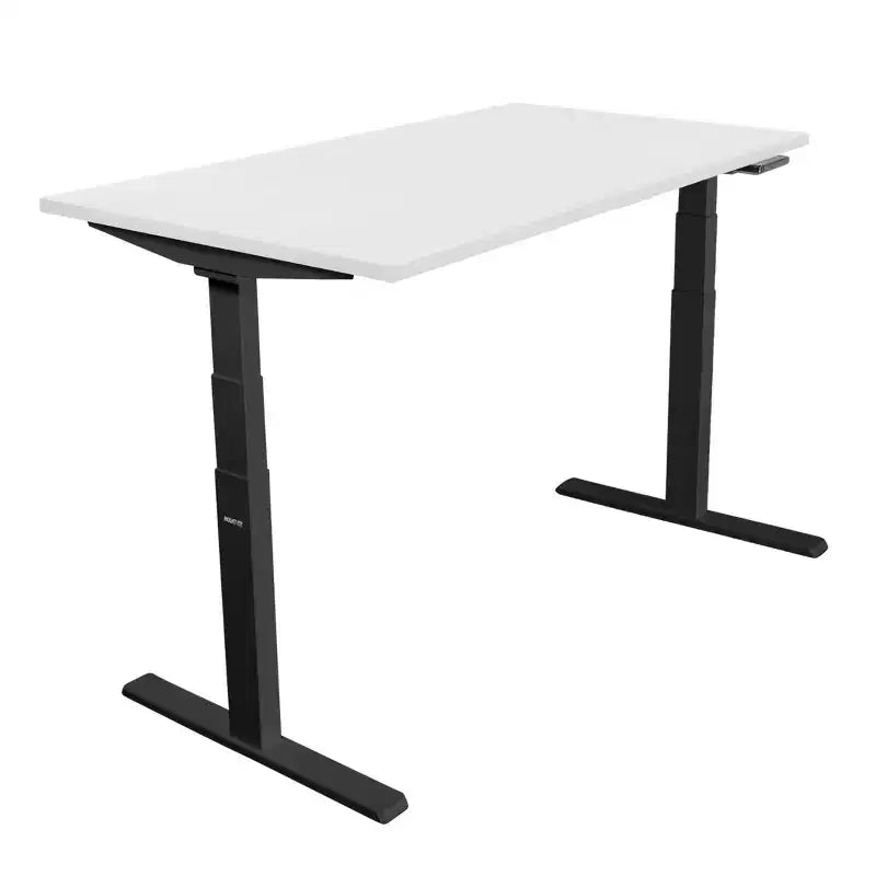 Mount-It! Dual Motor Electric Standing Desk with 55 Tabletop, White & Black