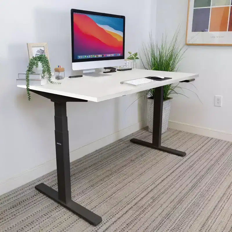 Mount-It! Dual Motor Electric Standing Desk with 55 Tabletop, White & Black