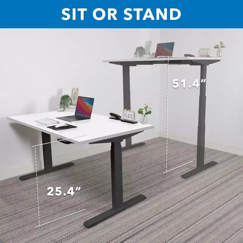 Mount-It! Dual Motor Electric Standing Desk with 55 Tabletop, White & Black